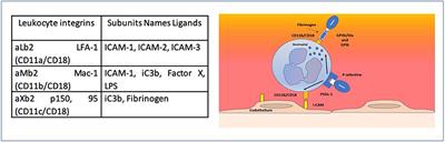 Iloprost in COVID-19: The Rationale of Therapeutic Benefit